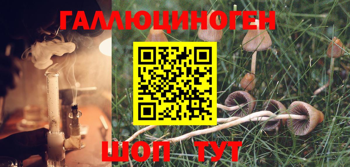 Псилоцибиновые грибы Magic Shrooms Апшеронск