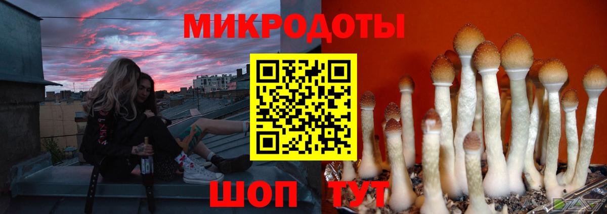 Псилоцибиновые грибы Magic Shrooms  Вход с VPN  Апшеронск 